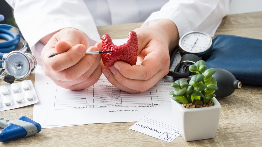 Die Funktion der Schilddrüse und ihre Erkrankungen Die Funktion der Schilddrüse und ihre Erkrankungen